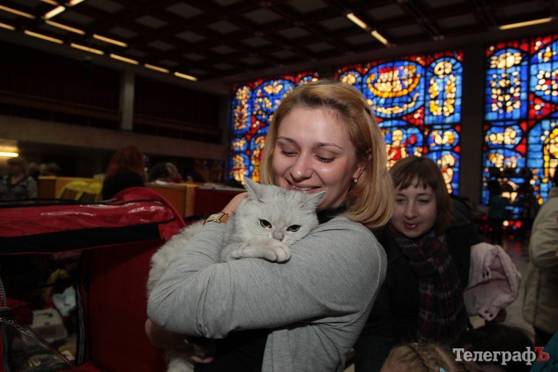Какие котятки у нас в Кременчуге!!!(ФОТО) Какие котятки у нас в Кременчуге!!!(ФОТО)