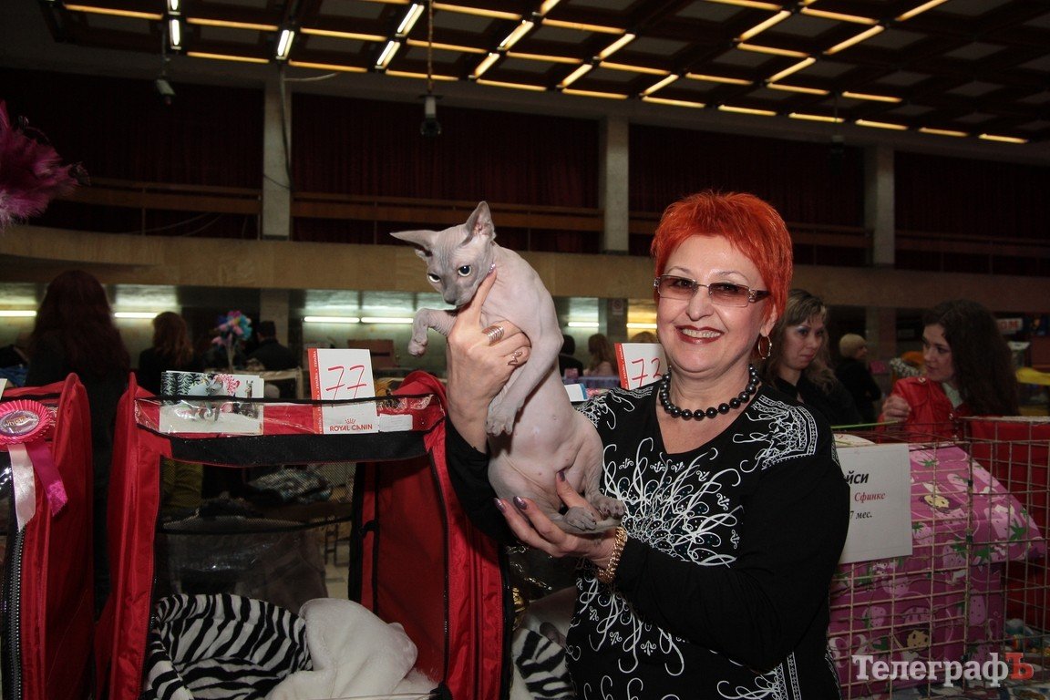 Какие котятки у нас в Кременчуге!!!(ФОТО) Какие котятки у нас в Кременчуге!!!(ФОТО)