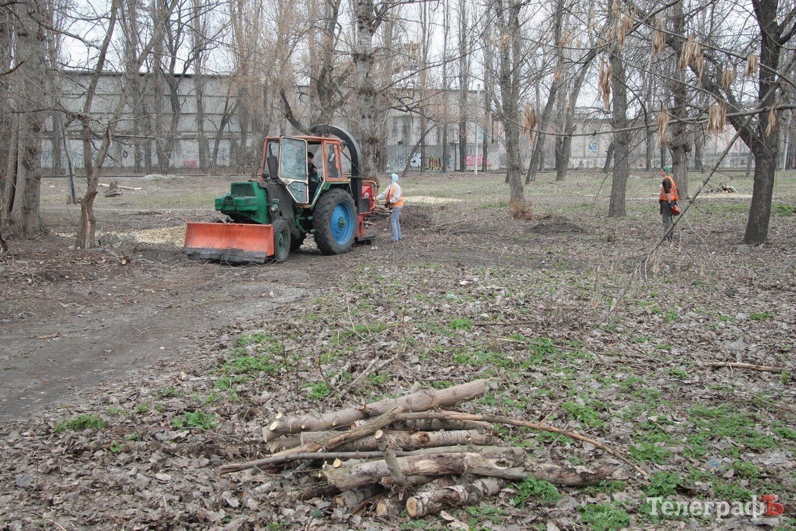 В парке МЮДа в Кременчуге высадят 100 берез В парке МЮДа в Кременчуге высадят 100 берез