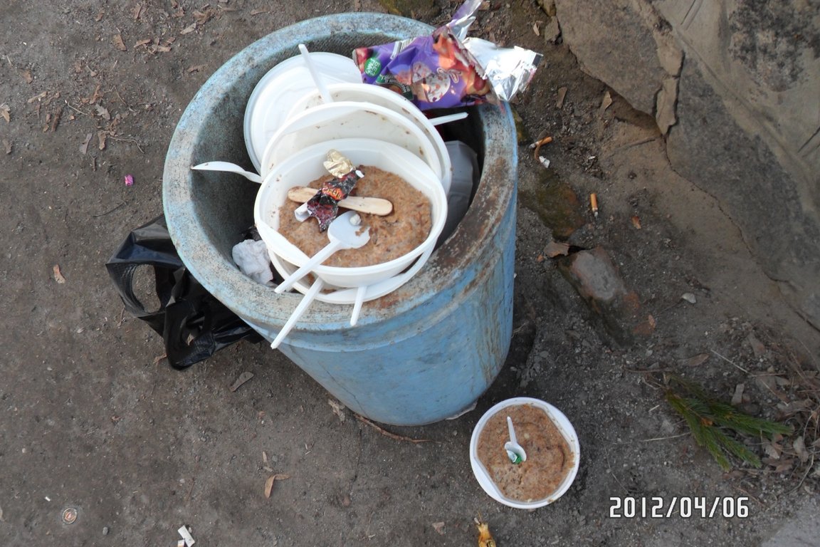 Как убирали в Кременчуге: субботник кончился, тарелки остались (ФОТО) Как убирали в Кременчуге: субботник кончился, тарелки остались (ФОТО)