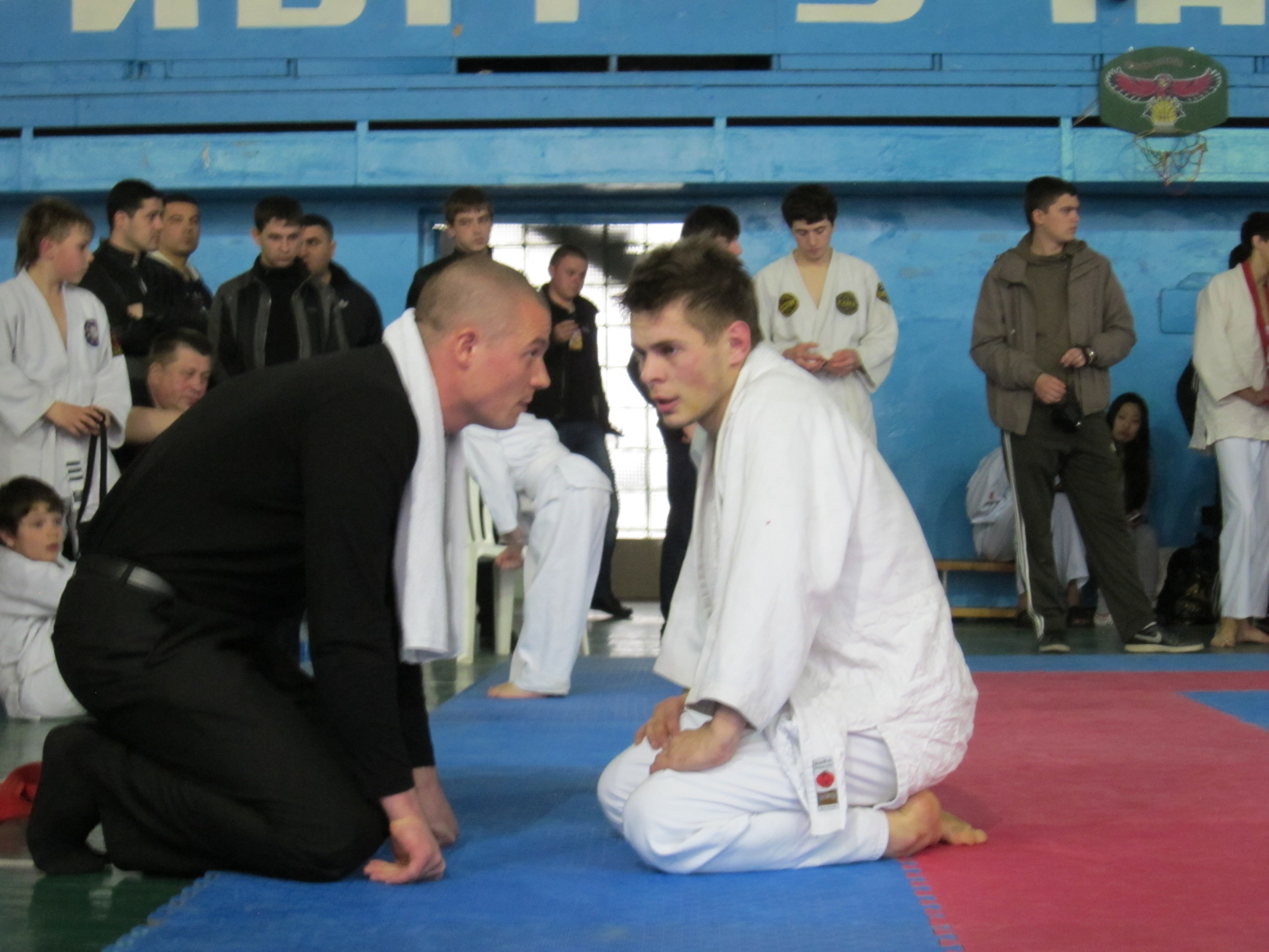 ДЖИУ-ДЖИТСУ. Кременчужане стали призёрами чемпионата Украины. ДЖИУ-ДЖИТСУ. Кременчужане стали призёрами чемпионата Украины.