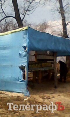 На острове Зелёный снесли незаконные постройки (ФОТО) На острове Зелёный снесли незаконные постройки (ФОТО)