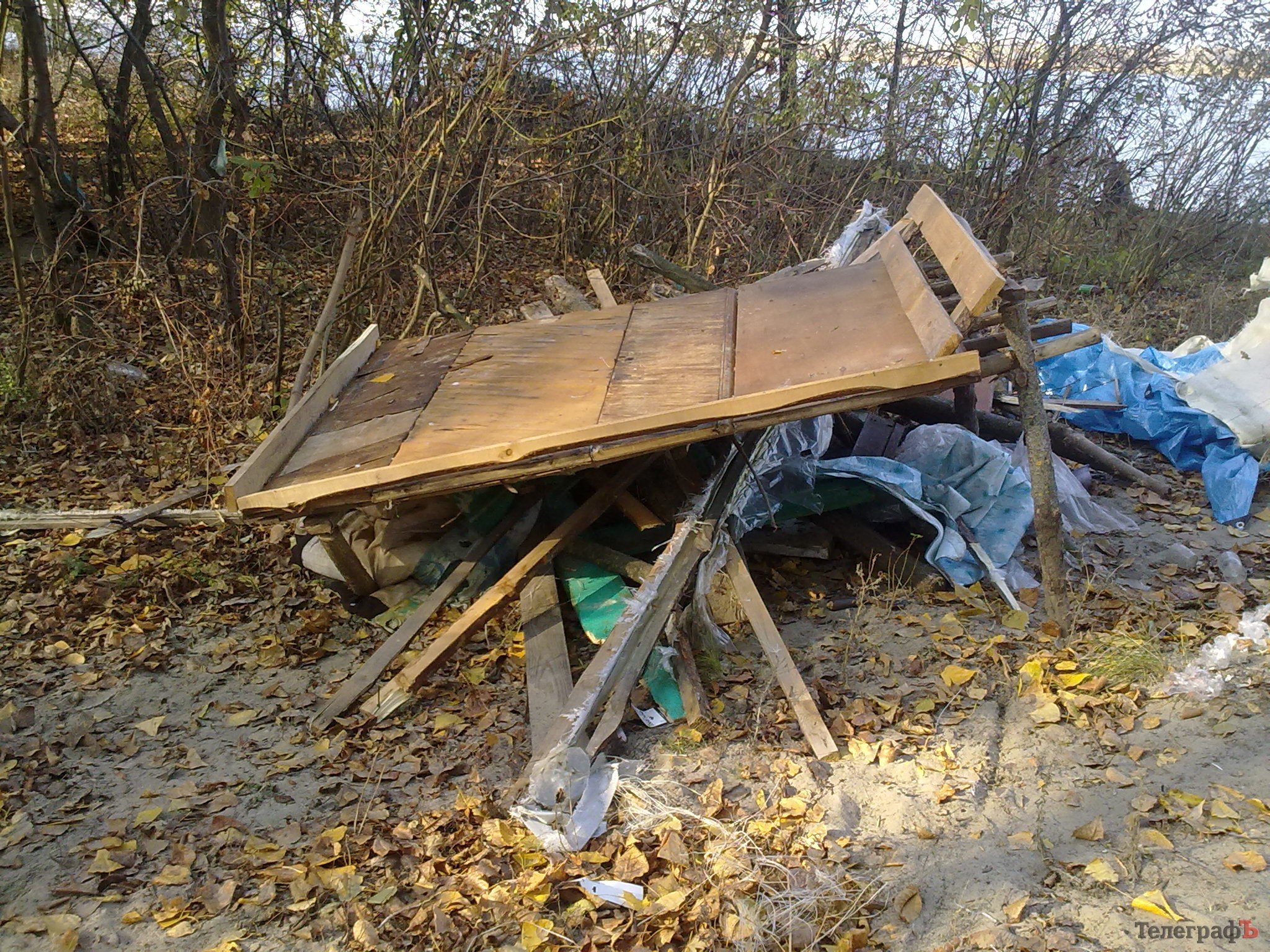 На острове Зелёный снесли незаконные постройки (ФОТО) На острове Зелёный снесли незаконные постройки (ФОТО)