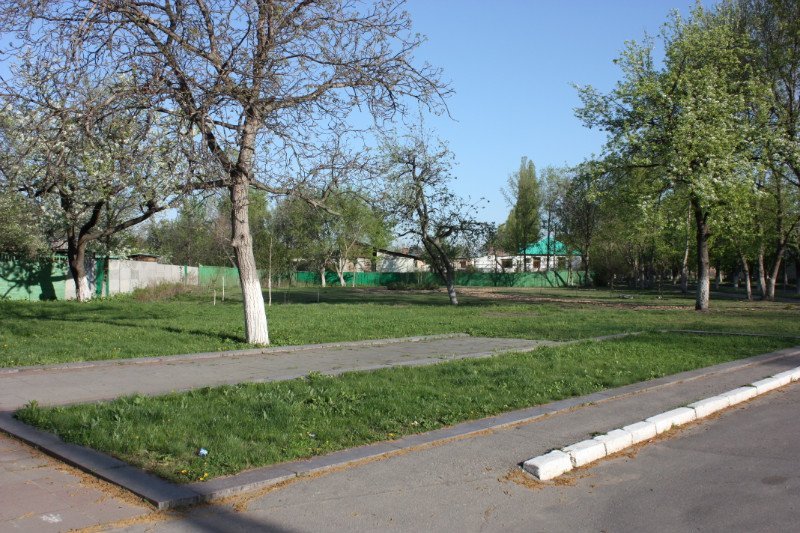 В Кременчуге возле музея Макаренко высадили сквер (ФОТО) В Кременчуге возле музея Макаренко высадили сквер (ФОТО)
