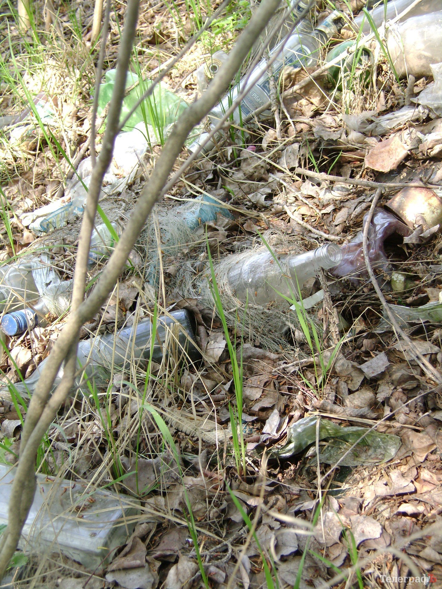 На острове Зелёный сносят последние постройки для отдыха (ФОТО) На острове Зелёный сносят последние постройки для отдыха (ФОТО)