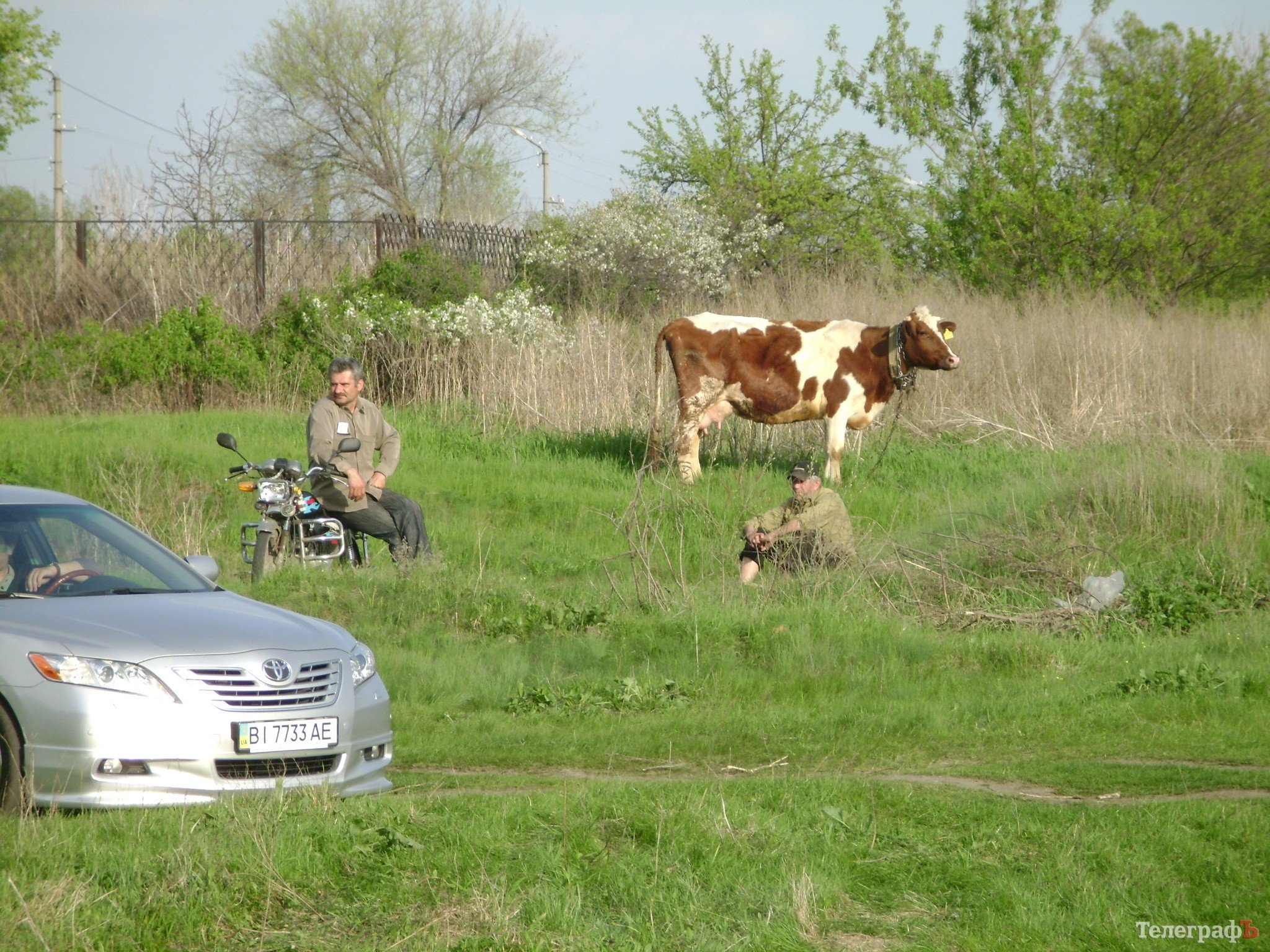 В Кременчуге началось BARSUK-Trophy 2012 (ФОТО, ВИДЕО) В Кременчуге началось BARSUK-Trophy 2012 (ФОТО, ВИДЕО)