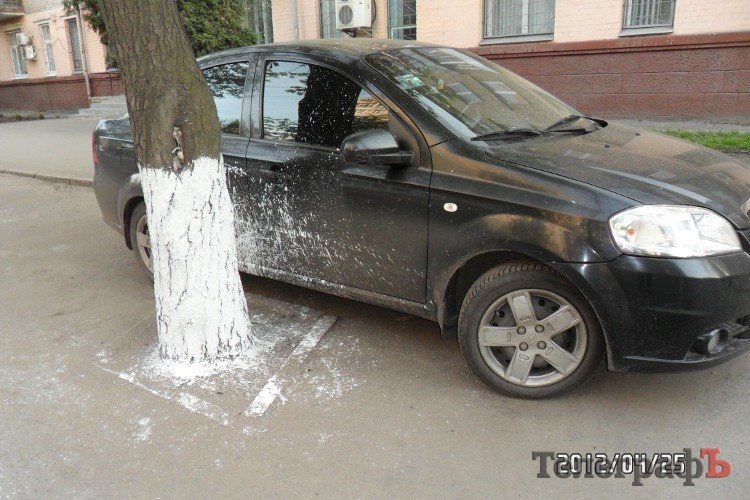 Приколы нашего городка: белим от забора и до заката (ФОТО) Приколы нашего городка: белим от забора и до заката (ФОТО)