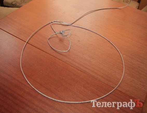 Кременчугские лесники вытащили из капкана барсука (ФОТО) Кременчугские лесники вытащили из капкана барсука (ФОТО)