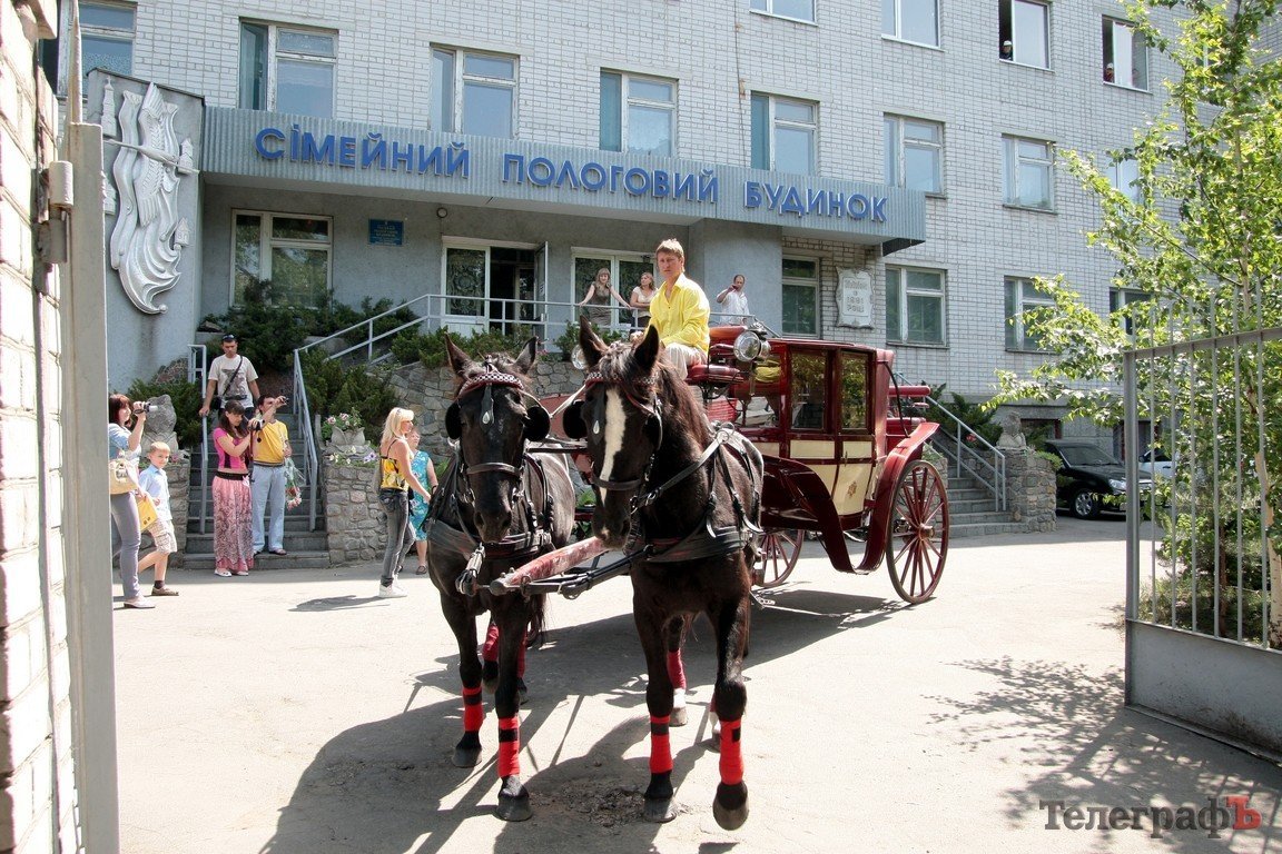 В Кременчуге роженицу встретили на карете с лошадьми (ФОТО, ВИДЕО) В Кременчуге роженицу встретили на карете с лошадьми (ФОТО, ВИДЕО)