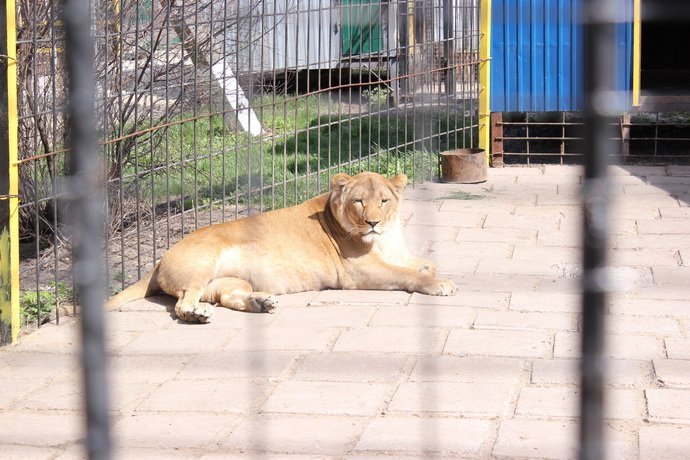 День у музеї: куди кременчужанину вирватися на вихідних День у музеї: куди кременчужанину вирватися на вихідних