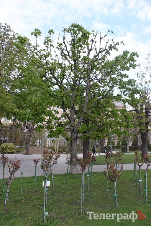 Відень – місто палаців та вальсу (ФОТО) Відень – місто палаців та вальсу (ФОТО)