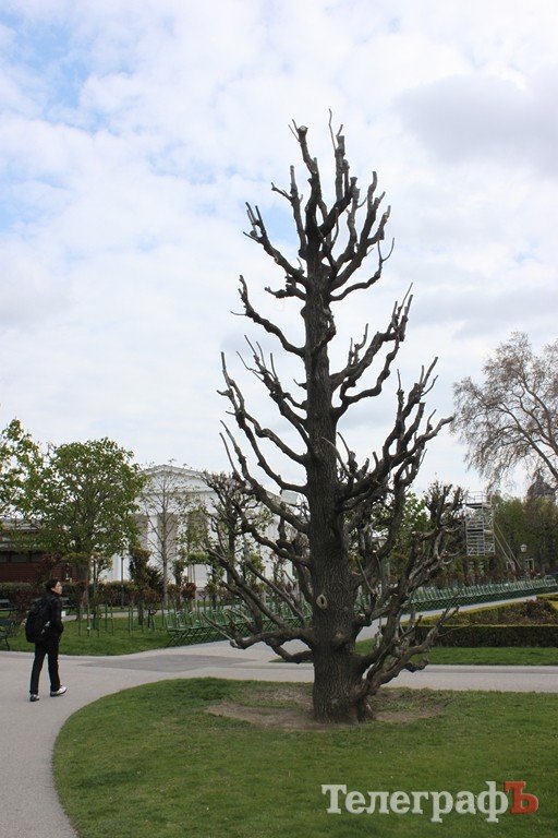Відень – місто палаців та вальсу (ФОТО) Відень – місто палаців та вальсу (ФОТО)