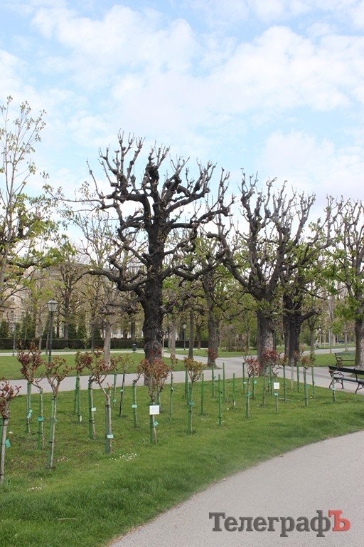 Відень – місто палаців та вальсу (ФОТО) Відень – місто палаців та вальсу (ФОТО)
