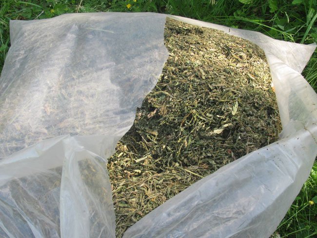 На Полтавщине сожгли 130 кило наркотиков (ФОТО) На Полтавщине сожгли 130 кило наркотиков (ФОТО)