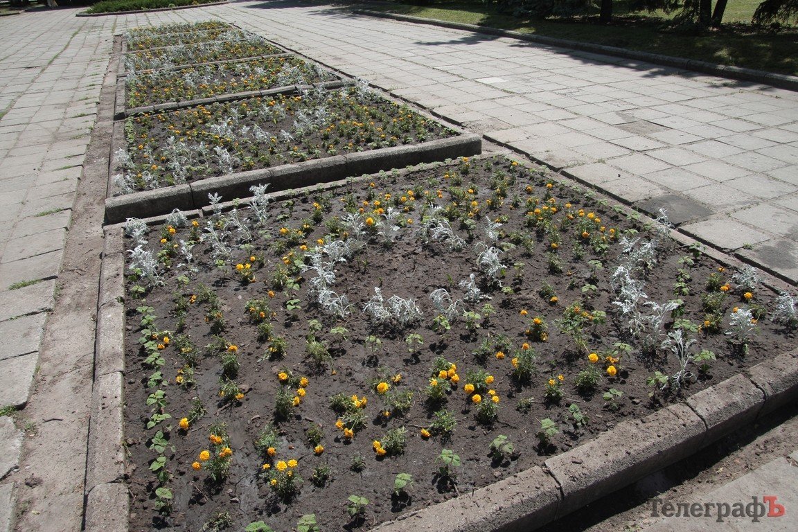 В Кременчуге пройдет конкурс клумб (ФОТО) В Кременчуге пройдет конкурс клумб (ФОТО)