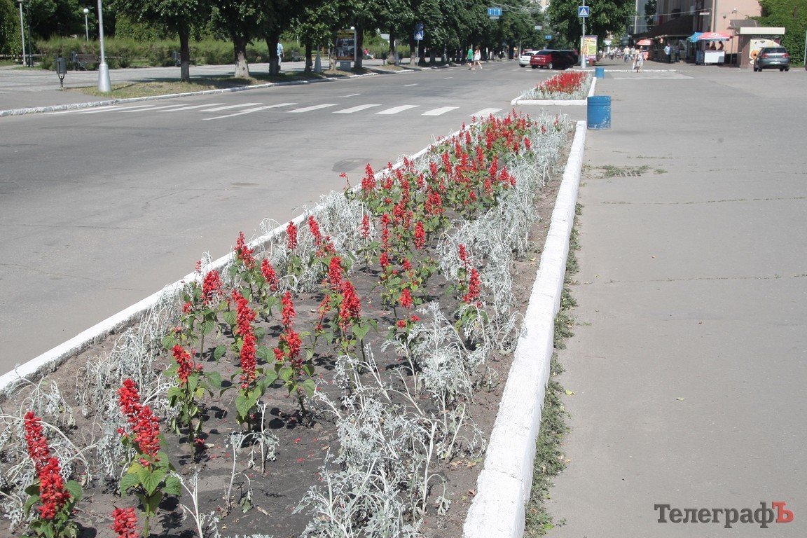 В Кременчуге пройдет конкурс клумб (ФОТО) В Кременчуге пройдет конкурс клумб (ФОТО)