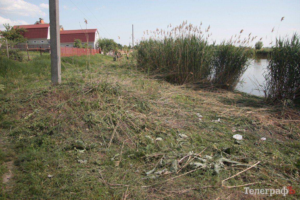 Кременчужане обеспокоены тем, что коммунальники потревожили уток (ФОТО) Кременчужане обеспокоены тем, что коммунальники потревожили уток (ФОТО)