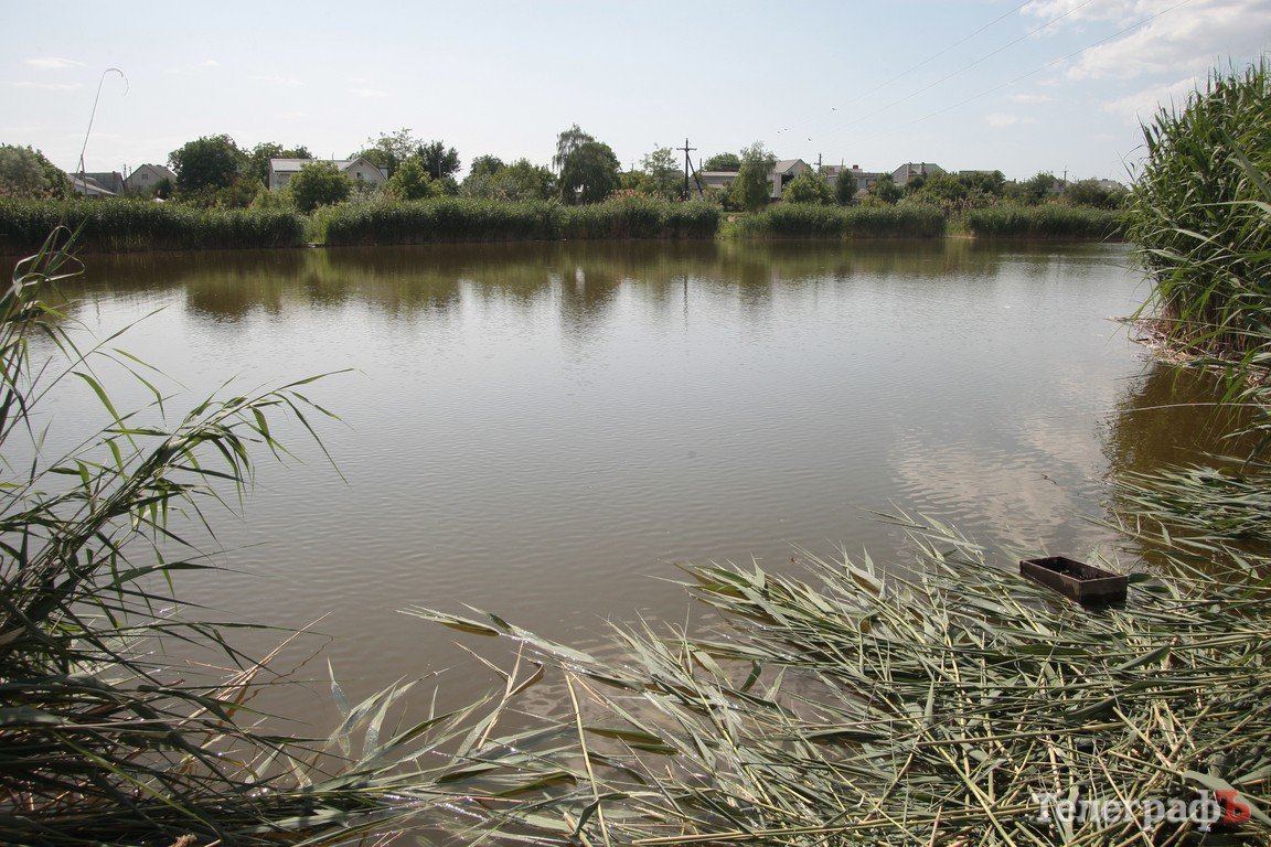 Кременчужане обеспокоены тем, что коммунальники потревожили уток (ФОТО) Кременчужане обеспокоены тем, что коммунальники потревожили уток (ФОТО)