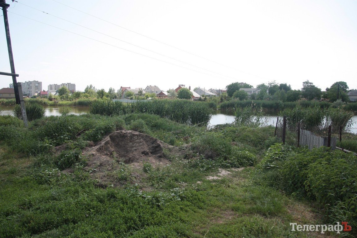 Кременчужане обеспокоены тем, что коммунальники потревожили уток (ФОТО) Кременчужане обеспокоены тем, что коммунальники потревожили уток (ФОТО)