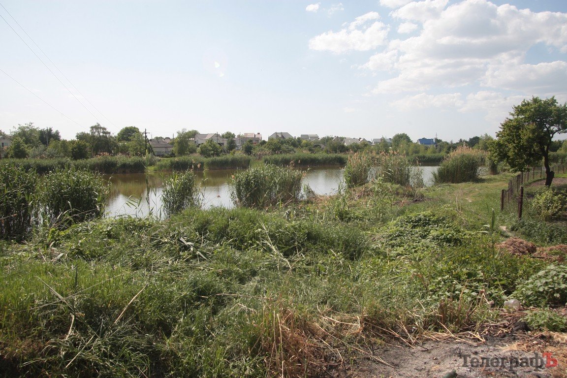 Кременчужане обеспокоены тем, что коммунальники потревожили уток (ФОТО) Кременчужане обеспокоены тем, что коммунальники потревожили уток (ФОТО)