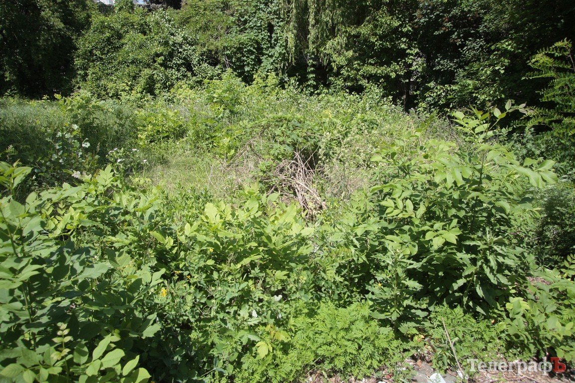 Автозаводской райисполком отчитался о работе, которая не выполнена Автозаводской райисполком отчитался о работе, которая не выполнена