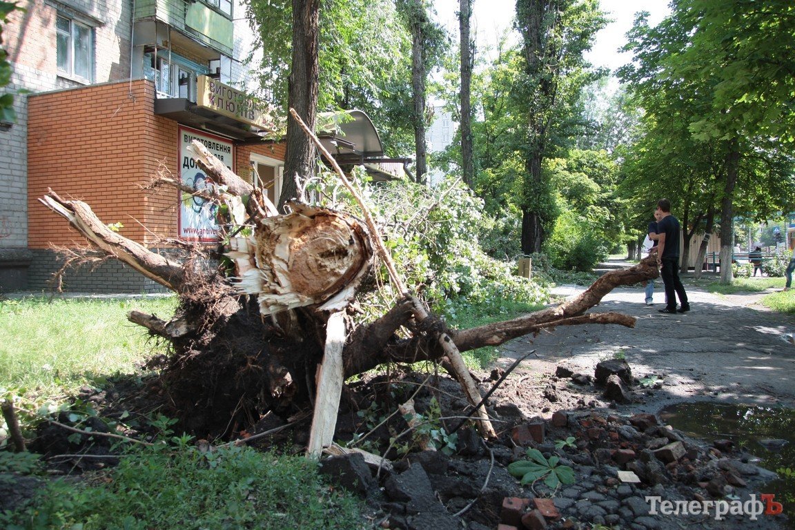 Результаты непогоды в Кременчуге (ФОТО, ВИДЕО) Результаты непогоды в Кременчуге (ФОТО, ВИДЕО)