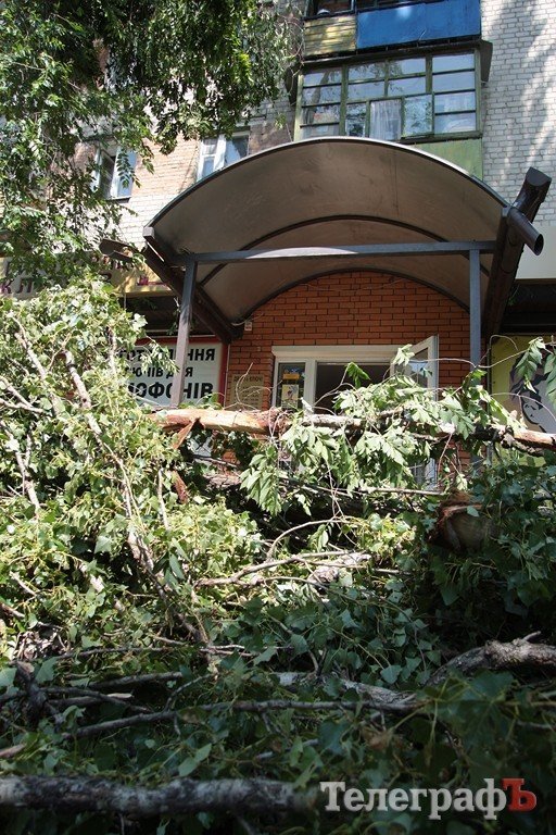 Результаты непогоды в Кременчуге (ФОТО, ВИДЕО) Результаты непогоды в Кременчуге (ФОТО, ВИДЕО)