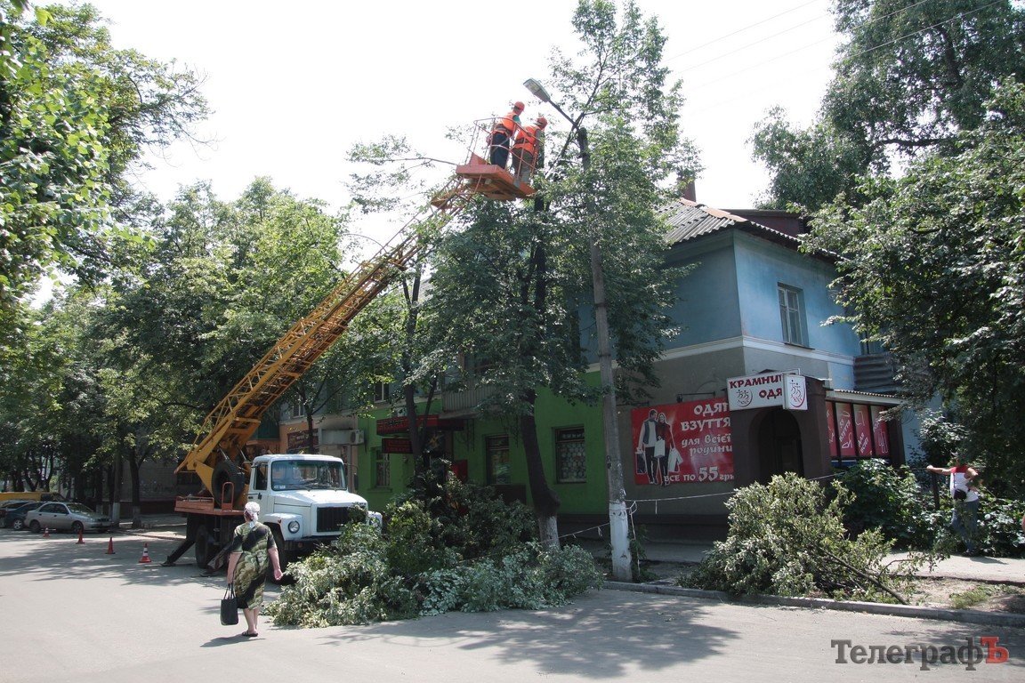 На улице Шевченко снова обрезали липы (ФОТО) На улице Шевченко снова обрезали липы (ФОТО)