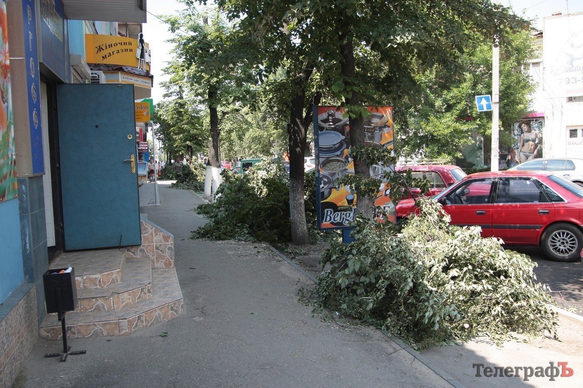 На улице Шевченко снова обрезали липы (ФОТО) На улице Шевченко снова обрезали липы (ФОТО)