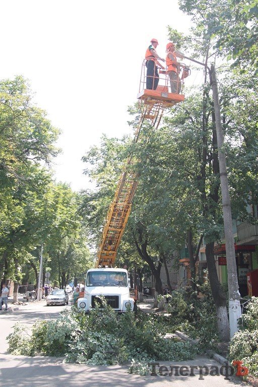 На улице Шевченко снова обрезали липы (ФОТО) На улице Шевченко снова обрезали липы (ФОТО)