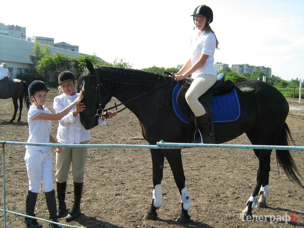 У коня Хабіба є власна сторінка «ВКонтакте» – її створила маленька Арина У коня Хабіба є власна сторінка «ВКонтакте» – її створила маленька Арина