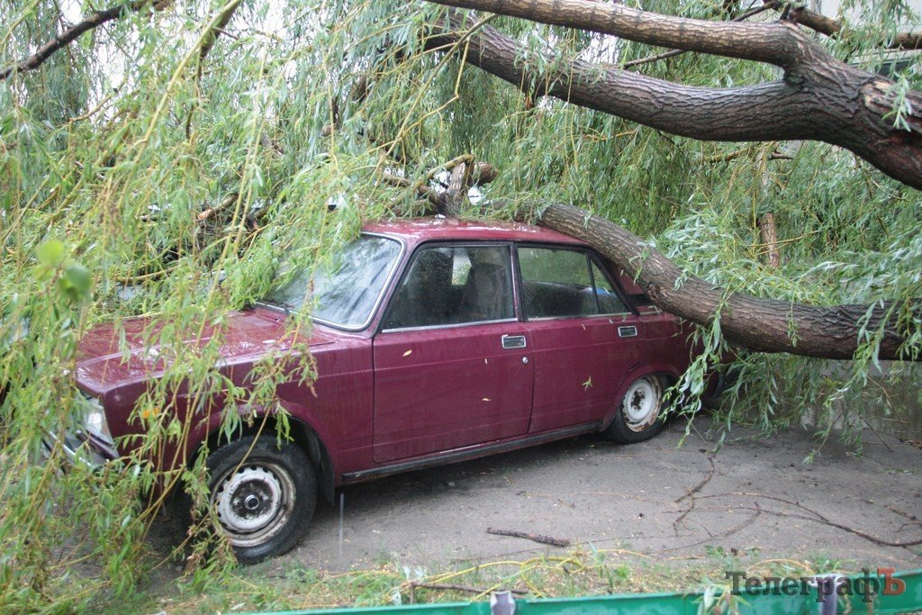 На Крюковской стороне буря повалила 14 деревьев На Крюковской стороне буря повалила 14 деревьев