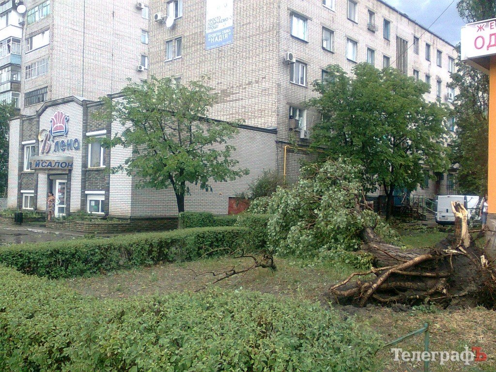 Ураган в Комсомольске: на предприятии «Ферролит» снесло кран, а деревья стихия валила, как спички (ФОТО) Ураган в Комсомольске: на предприятии «Ферролит» снесло кран, а деревья стихия валила, как спички (ФОТО)