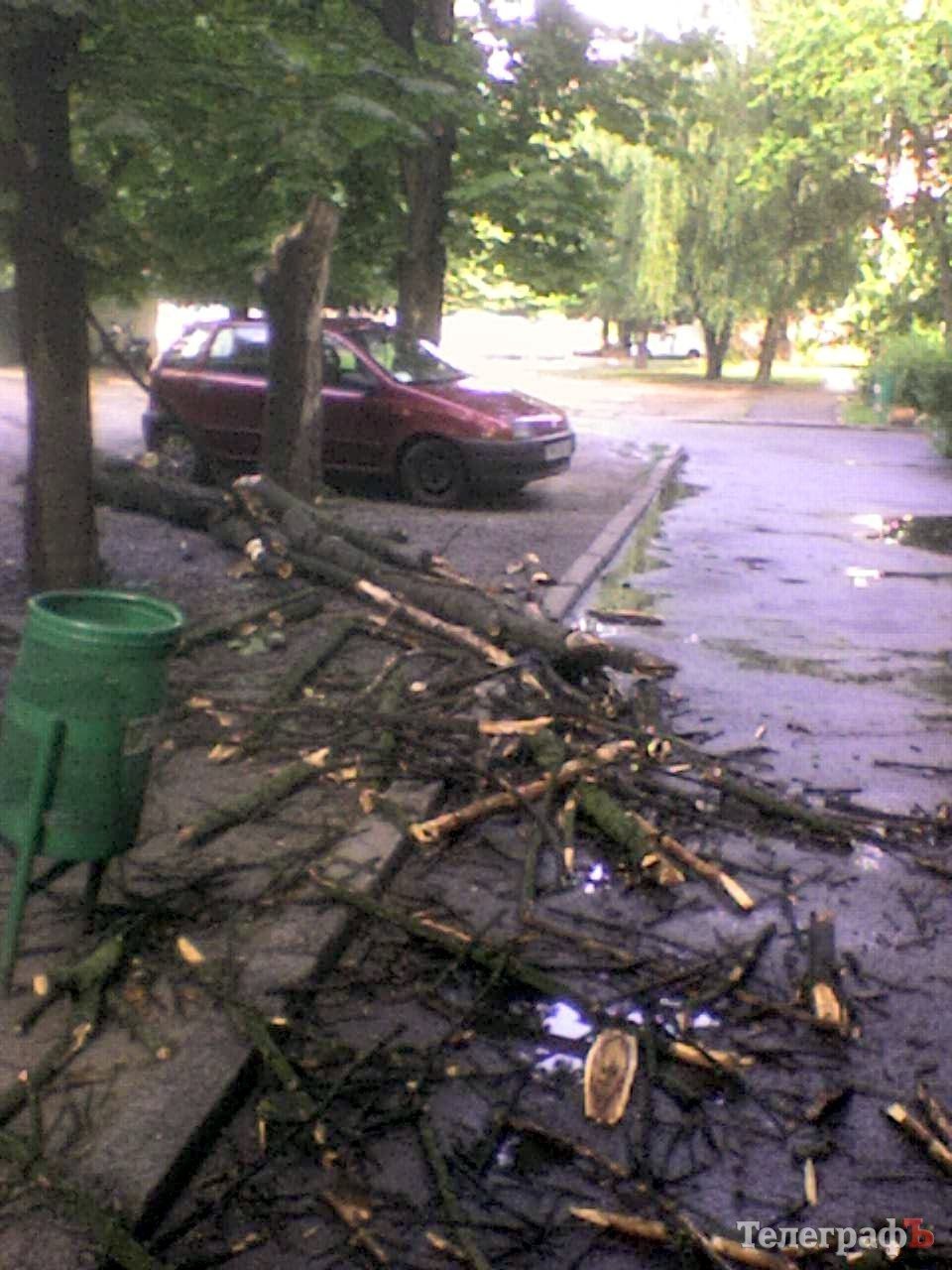 В Кременчуге дерево, которое УЖКХ отказалось снести, упало на дорогу (ФОТО) В Кременчуге дерево, которое УЖКХ отказалось снести, упало на дорогу (ФОТО)