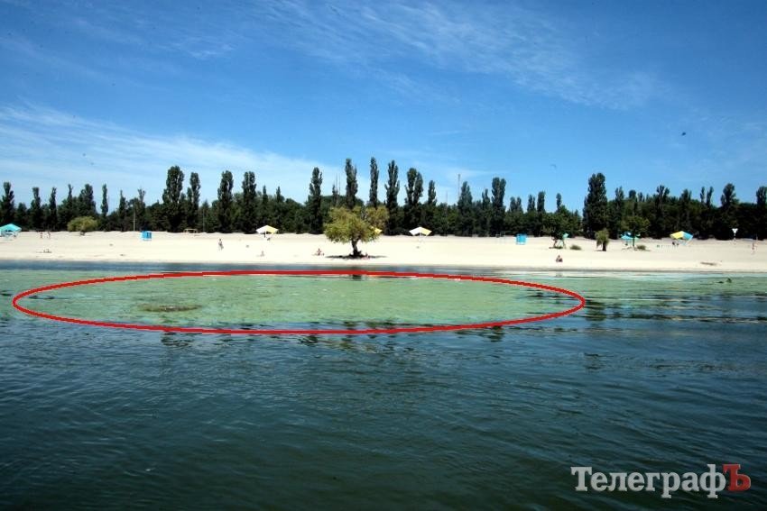 Рискуют жизнью за тысячу гривен Рискуют жизнью за тысячу гривен