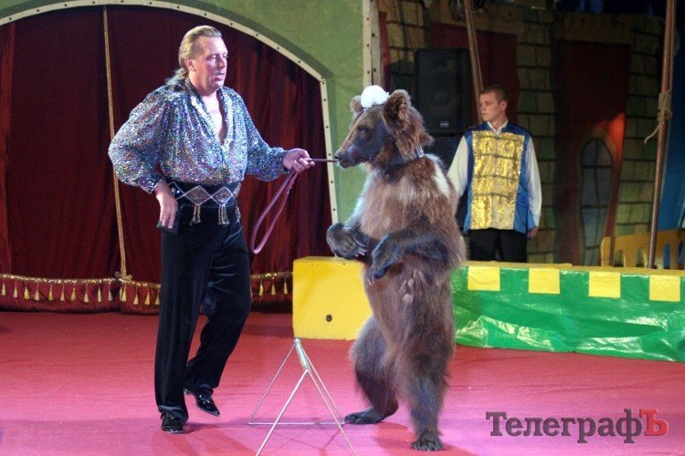 В Кременчуге гастролирует цирк «Корона», где артисты на коньках показывают свои номера В Кременчуге гастролирует цирк «Корона», где артисты на коньках показывают свои номера