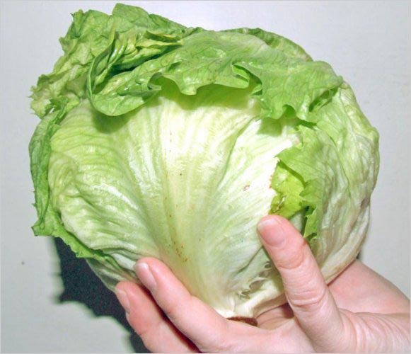 Пройдемся по зелени Пройдемся по зелени