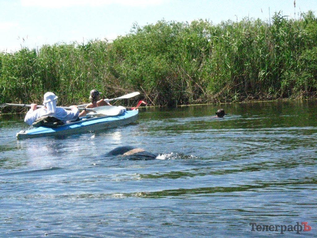 Кременчужане сплавились по Орели (ФОТОРЕПОРТАЖ) Кременчужане сплавились по Орели (ФОТОРЕПОРТАЖ)
