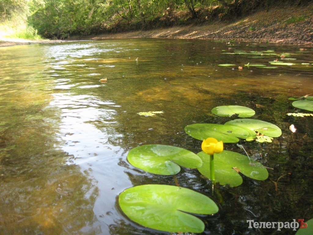 Кременчужане сплавились по Орели (ФОТОРЕПОРТАЖ) Кременчужане сплавились по Орели (ФОТОРЕПОРТАЖ)