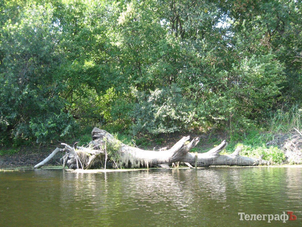 Кременчужане сплавились по Орели (ФОТОРЕПОРТАЖ) Кременчужане сплавились по Орели (ФОТОРЕПОРТАЖ)