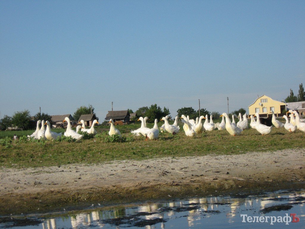 Кременчужане сплавились по Орели (ФОТОРЕПОРТАЖ) Кременчужане сплавились по Орели (ФОТОРЕПОРТАЖ)