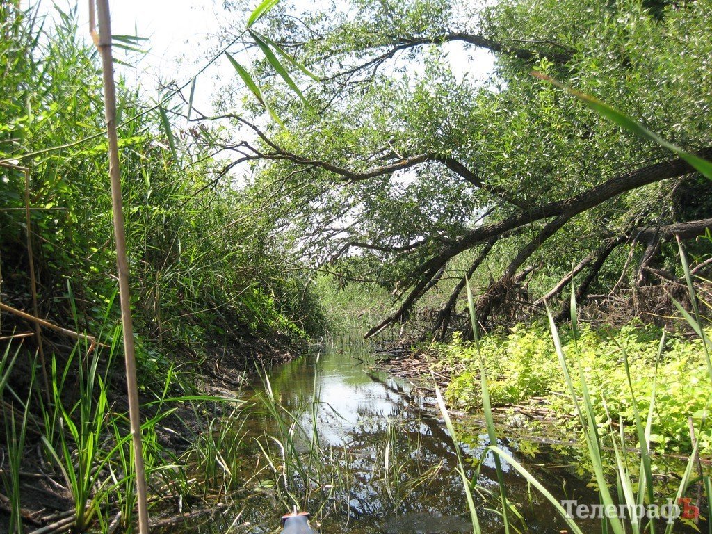 Кременчужане сплавились по Орели (ФОТОРЕПОРТАЖ) Кременчужане сплавились по Орели (ФОТОРЕПОРТАЖ)