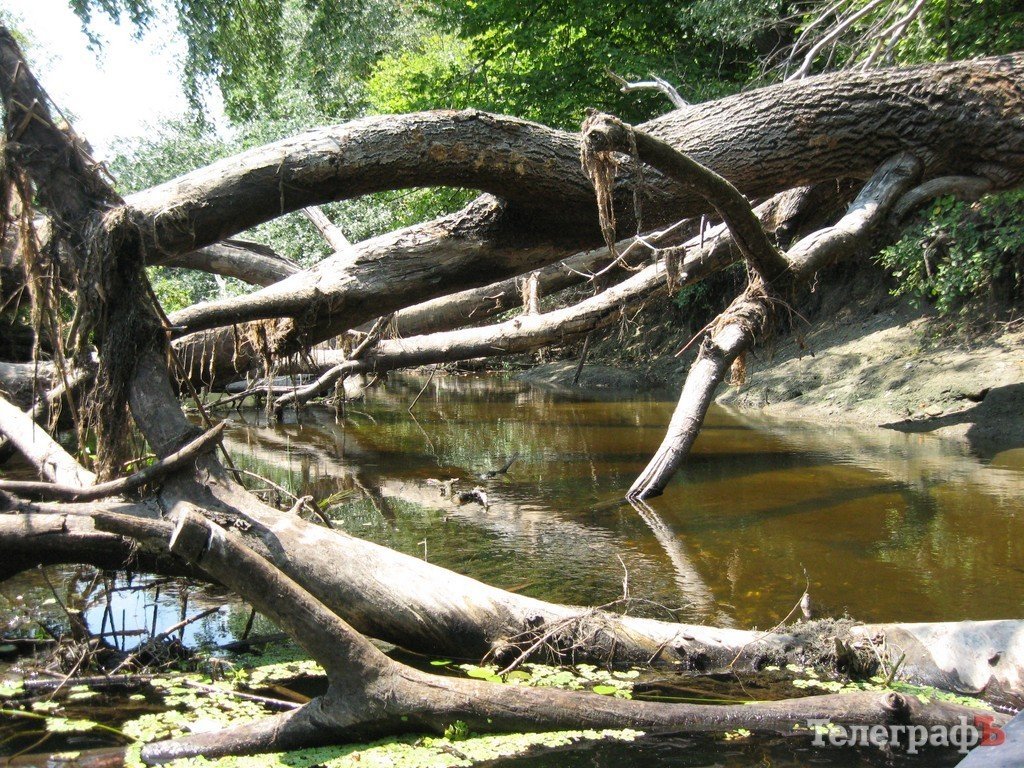 Кременчужане сплавились по Орели (ФОТОРЕПОРТАЖ) Кременчужане сплавились по Орели (ФОТОРЕПОРТАЖ)