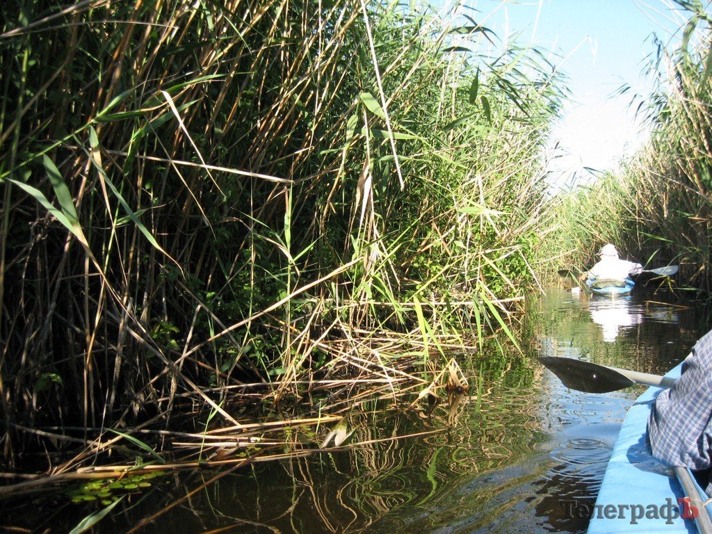 Кременчужане сплавились по Орели (ФОТОРЕПОРТАЖ) Кременчужане сплавились по Орели (ФОТОРЕПОРТАЖ)