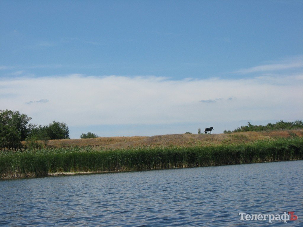 Кременчужане сплавились по Орели (ФОТОРЕПОРТАЖ) Кременчужане сплавились по Орели (ФОТОРЕПОРТАЖ)