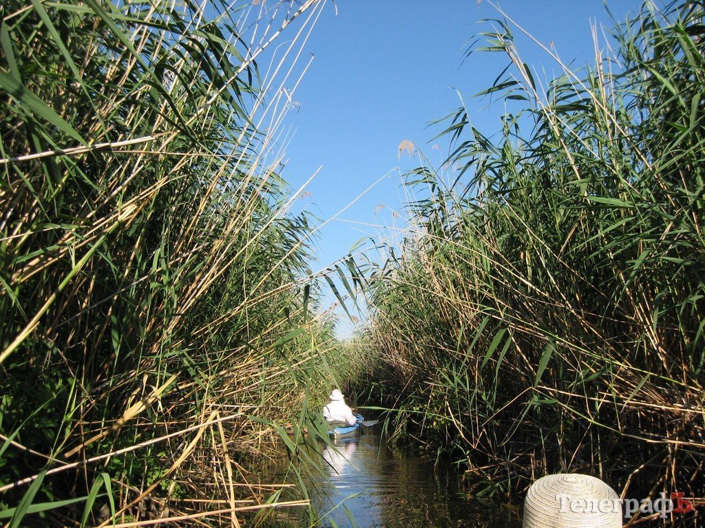 Кременчужане сплавились по Орели (ФОТОРЕПОРТАЖ) Кременчужане сплавились по Орели (ФОТОРЕПОРТАЖ)