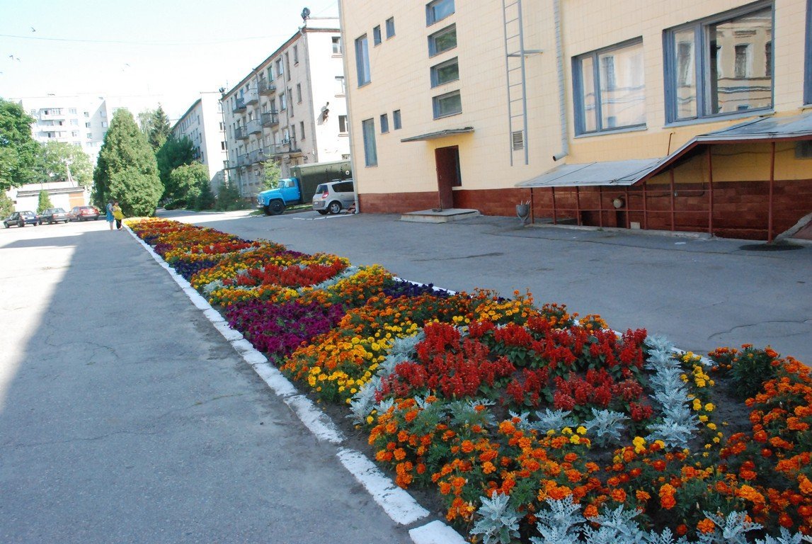 В Кременчуге подвели предварительные итоги конкурса на лучшую клумбу В Кременчуге подвели предварительные итоги конкурса на лучшую клумбу