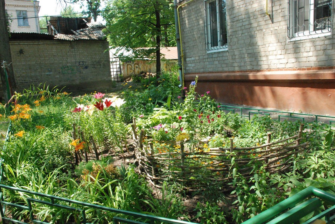 В Кременчуге подвели предварительные итоги конкурса на лучшую клумбу В Кременчуге подвели предварительные итоги конкурса на лучшую клумбу