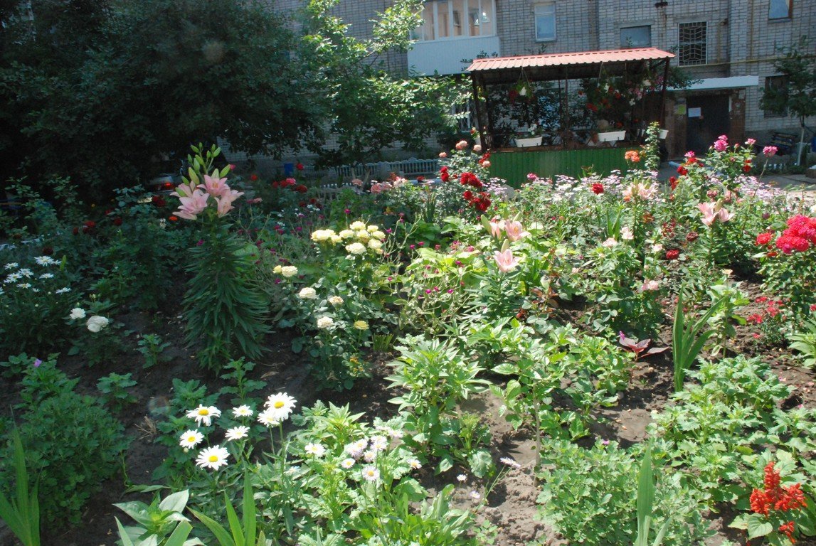 В Кременчуге подвели предварительные итоги конкурса на лучшую клумбу В Кременчуге подвели предварительные итоги конкурса на лучшую клумбу