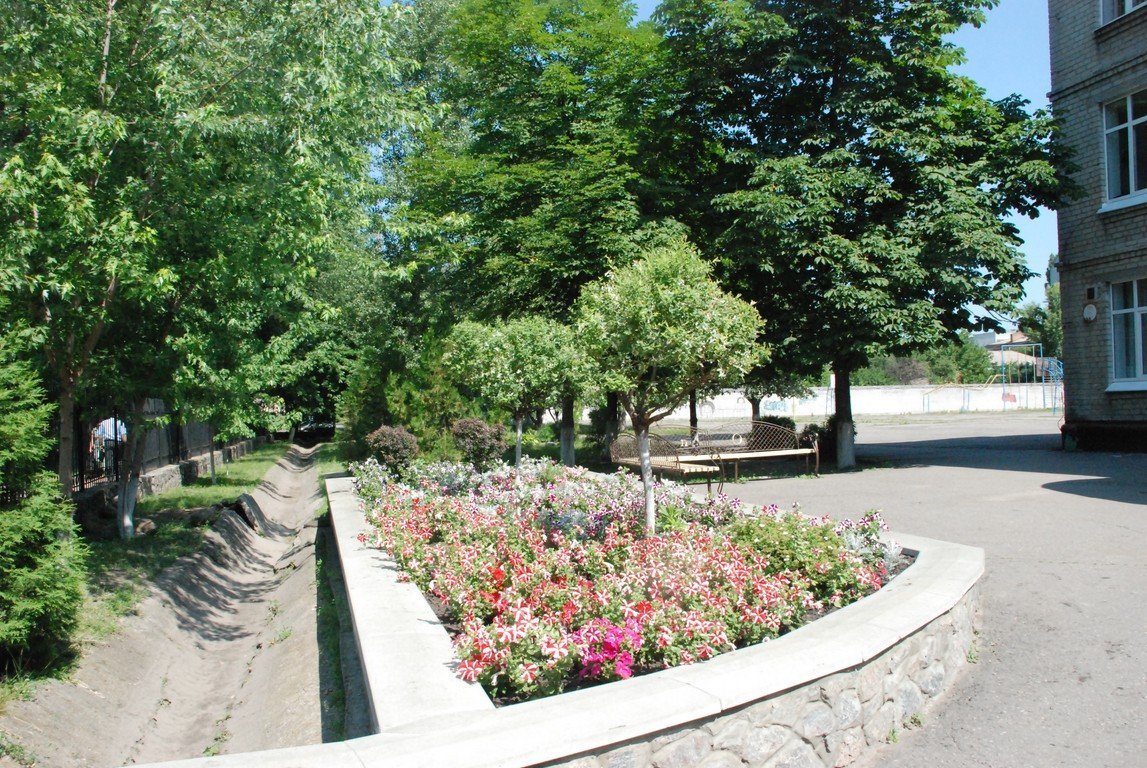 В Кременчуге подвели предварительные итоги конкурса на лучшую клумбу В Кременчуге подвели предварительные итоги конкурса на лучшую клумбу